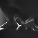 استیکر