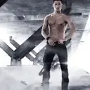 贴纸