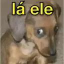 ملصق