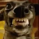Stika
