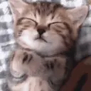 Pelekat