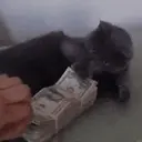 Pelekat