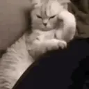 Pelekat