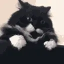 Pelekat
