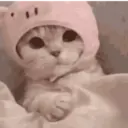Pelekat