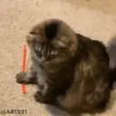 स्टिकर