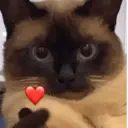 Կպչուն պիտակ