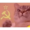 ステッカー