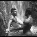 ملصق