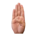 Límmiði