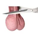 Naljepnica