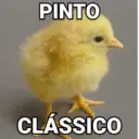 贴纸