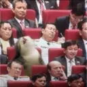 贴纸