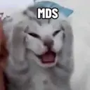 מדבקה