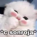 స్టికర్
