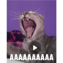 ملصق