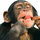 Samolepka