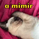 Figurinha