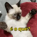 Figurinha