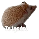 Figurinha