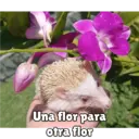 Çıkartma