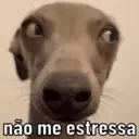 Stika