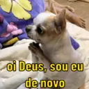 Figurinha