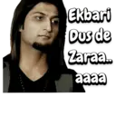 Stika