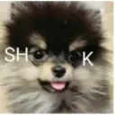 스티커