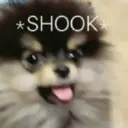 스티커