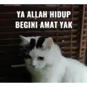ملصق