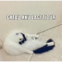ملصق