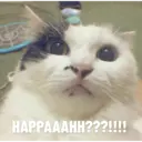 ملصق