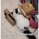 ملصق