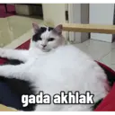 ملصق