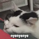 ملصق