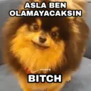 اسٹیکر