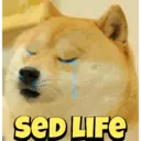 Límmiði
