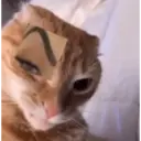 Stika