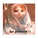 Stika