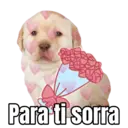 Figurinha