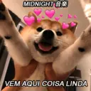 Figurinha