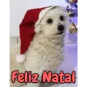 ملصق