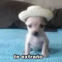 Çıkartma