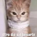 Çıkartma
