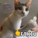 ملصق