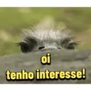 贴纸