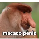 ملصق