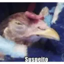 ملصق