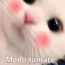 ملصق